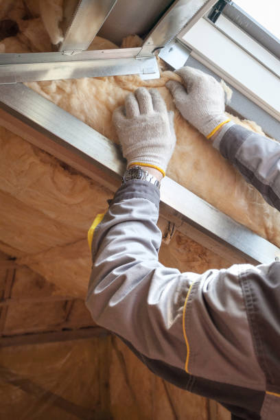 Best Best Insulation Companies  in Chapman, KS