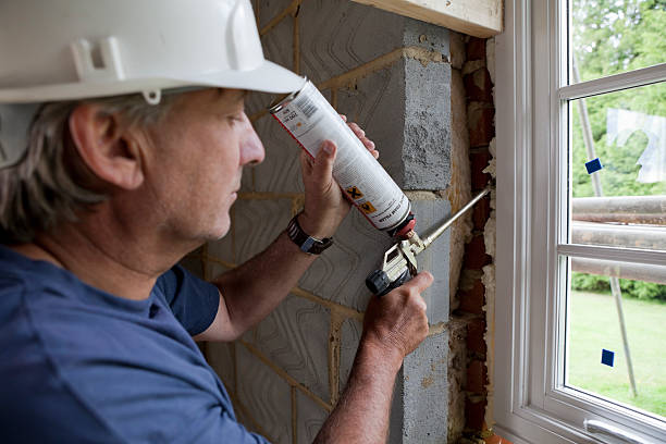 Best Fiberglass Insulation  in Chapman, KS