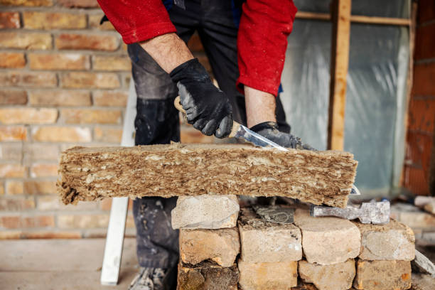 Best Insulation Replacement Services  in Chapman, KS